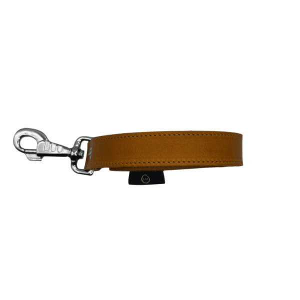 Leren hondenhalsband voor middelgrote honden