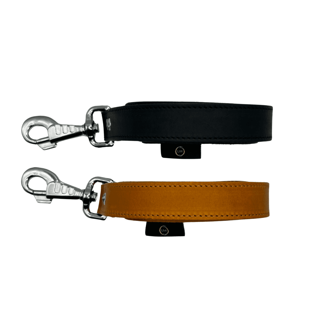 Life-coach-Leidy-riemen-middelgrote-honden Leren hondenhalsband voor middelgrote honden