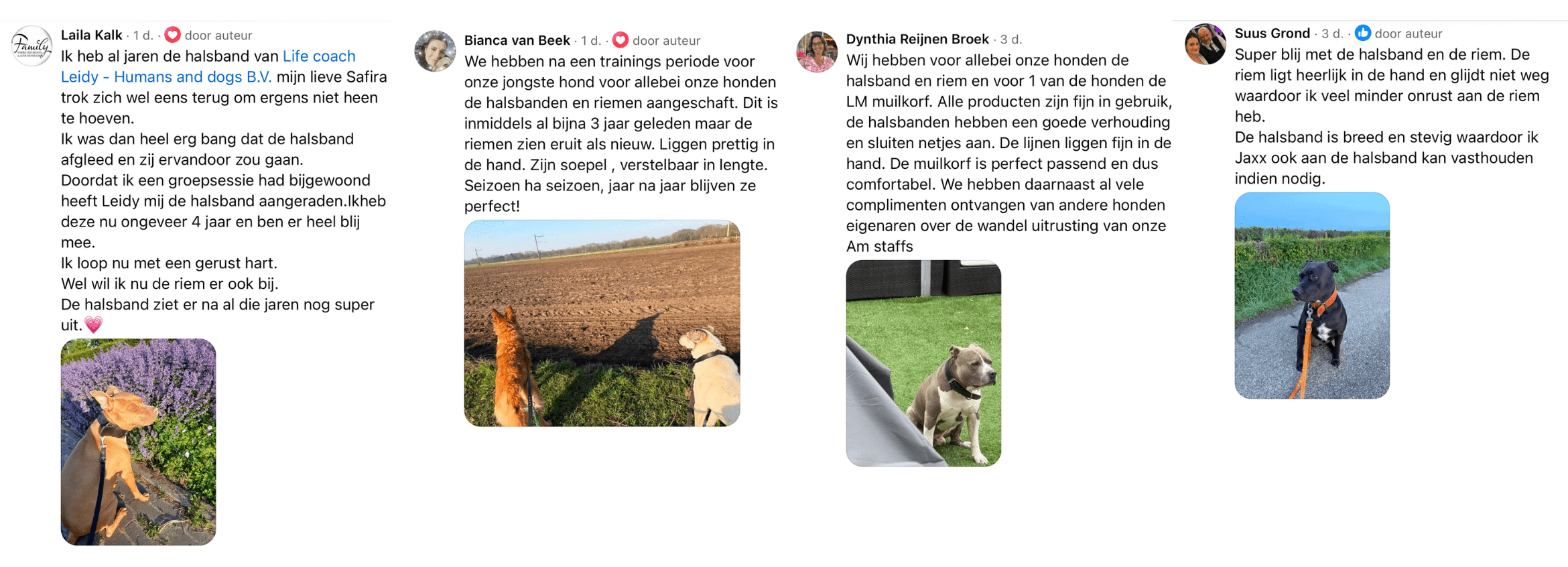 Beste-halsband-hond-ervaring